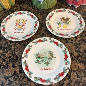 ❤️💚❤️ Festive Holiday Plates.  - White with Red and Green Accents